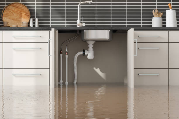 Best Residential Water Damage Restoration in USA